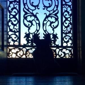 Meet your Posher, Brandy